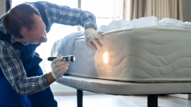 Travel Essentials to Prevent Bed Bug Hitchhikers