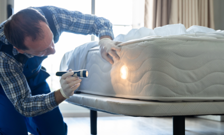 Travel Essentials to Prevent Bed Bug Hitchhikers