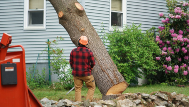 The Complete Guide to Essential Services That Protect and Beautify Your Home