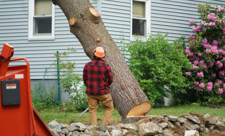 The Complete Guide to Essential Services That Protect and Beautify Your Home