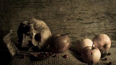 fudholyvaz ingredients and uses