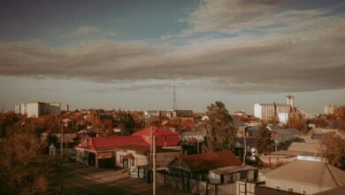 gondotec overview and updates