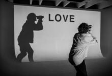 h maiz profile summary overview