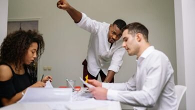 harmonicode team contributions overview