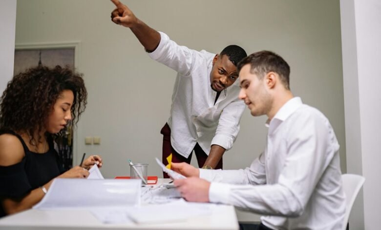 harmonicode team contributions overview