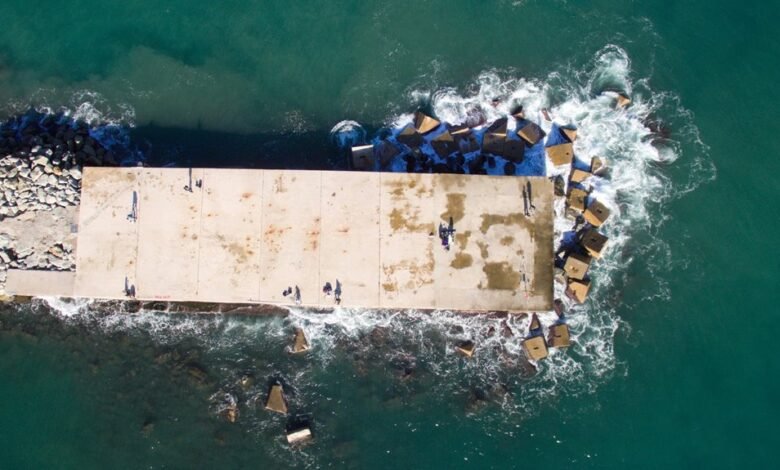 hentai20mio platform features overview