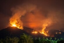 jancilkizmor safety concerns explored