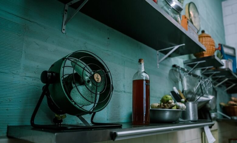 qoghundos ingredient benefits explained