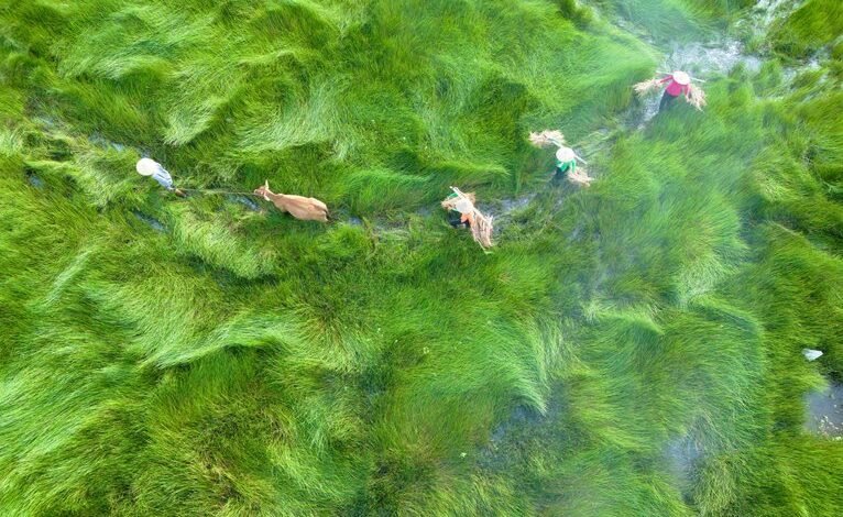 business landscape analysis report