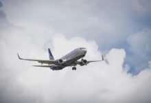 sector dynamics overview report