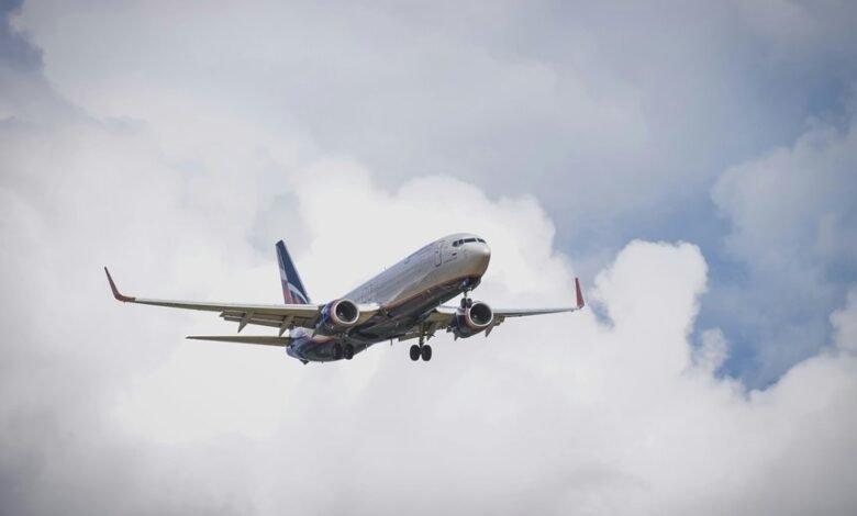 sector dynamics overview report