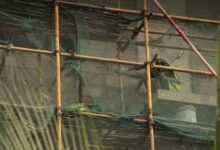 advanced frameworks for tools