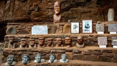 industry evolution insights analysis