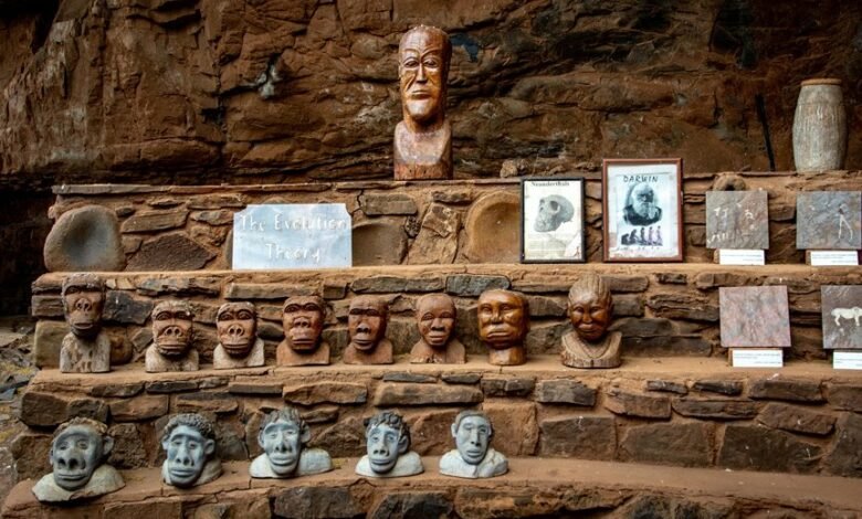 industry evolution insights analysis