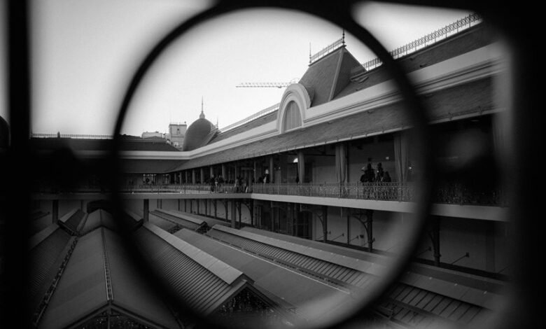 market elevation strategy unveiled