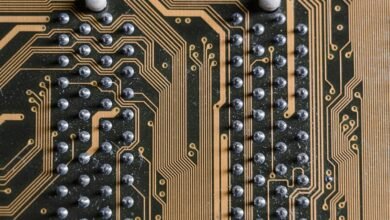 nova circuit opportunity path