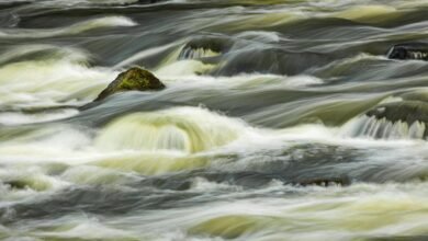 strategic flow momentum core